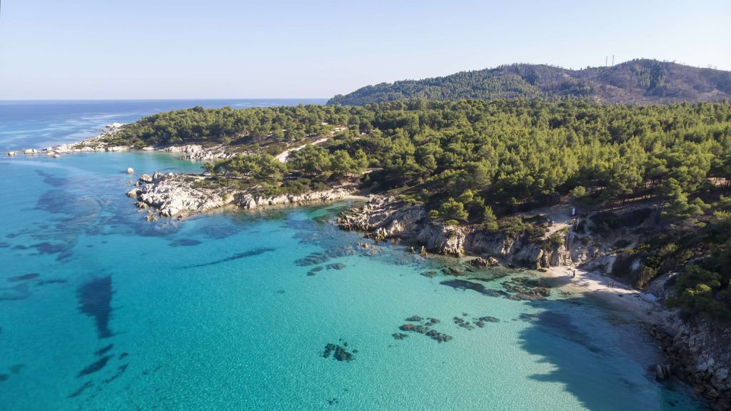 aegean-sea-coast-with-blue-transparent-water-greenery-around-rocks-bushes-trees-view-from-drone-greece~1 (1)