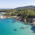 aegean-sea-coast-with-blue-transparent-water-greenery-around-rocks-bushes-trees-view-from-drone-greece~1 (1)