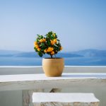 beautiful-orange-plant-pot-white-stone-balcony-greek-island~1 (1)
