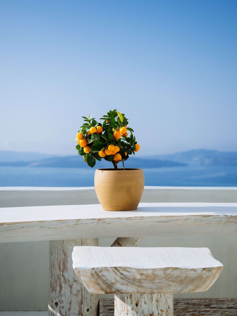 beautiful-orange-plant-pot-white-stone-balcony-greek-island~1 (1)