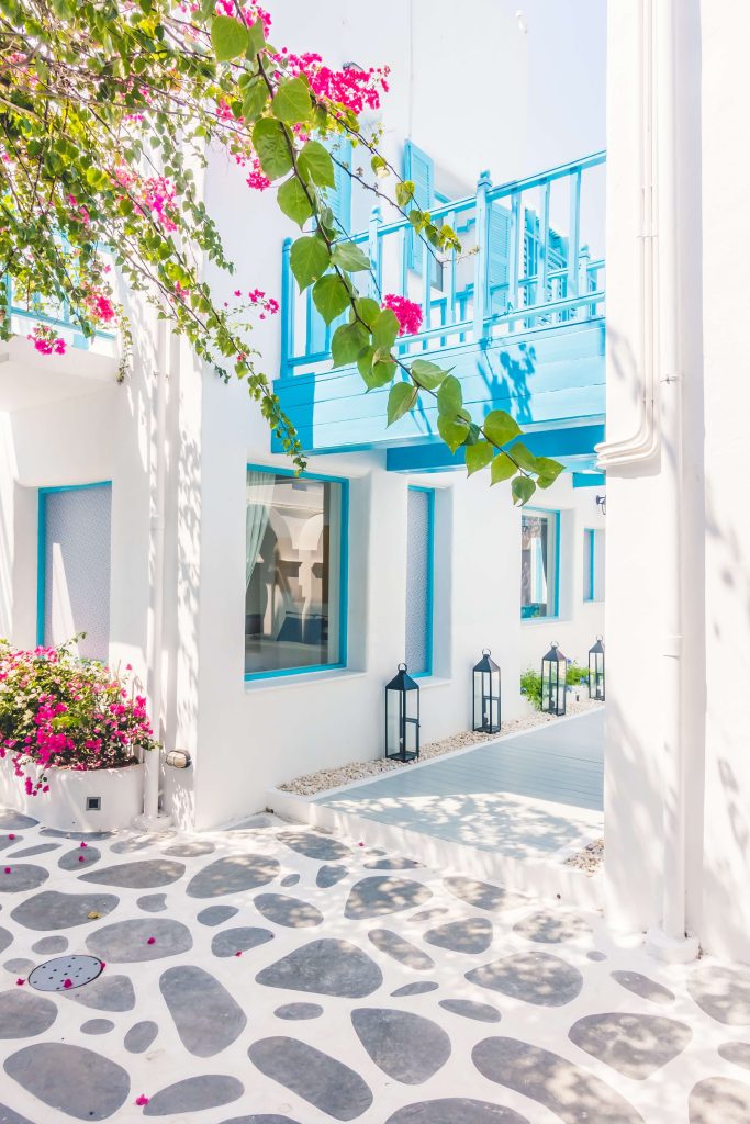 bougainvillea-santorini-white-village-beautiful~1 (1)
