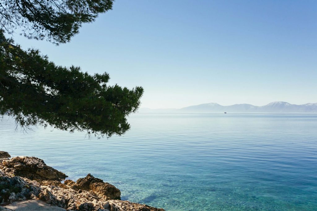 tree-branches-blue-idyllic-lake~1 (1)