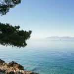 tree-branches-blue-idyllic-lake~1 (1)