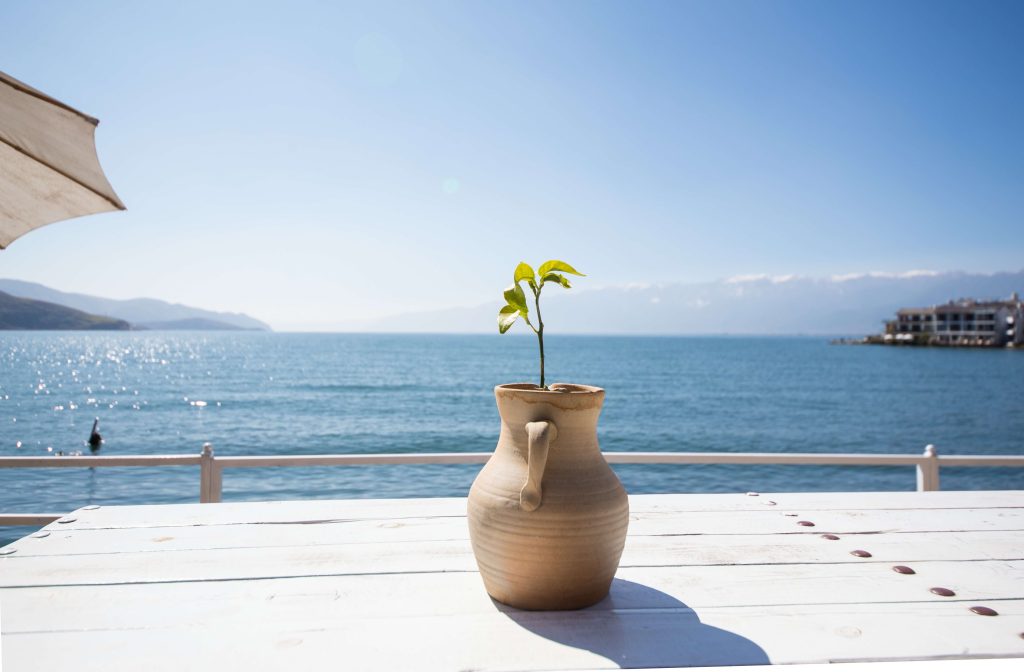 idyllic-summer-landscape~1 (1)