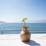 idyllic-summer-landscape~1 (1)
